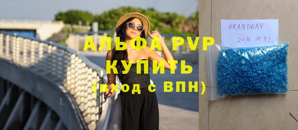 гидра Богородск