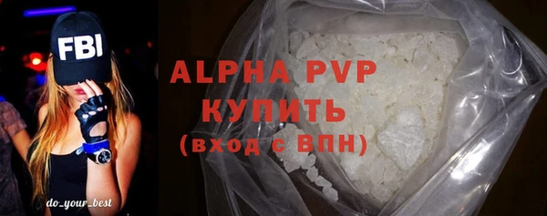 гидра Богородск