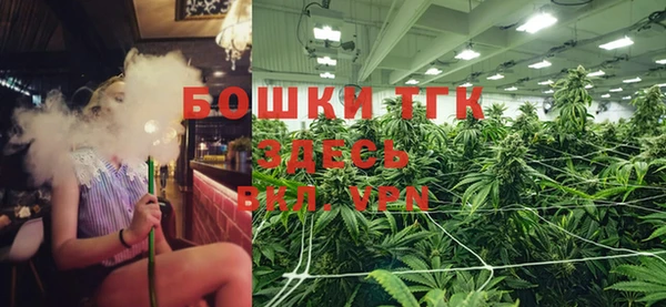 дурь Богородицк