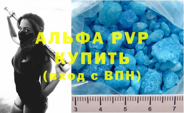 гидра Богородск