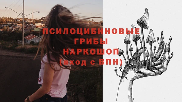 PSILOCYBIN Богданович