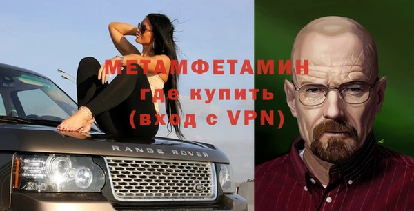 гидра Богородск