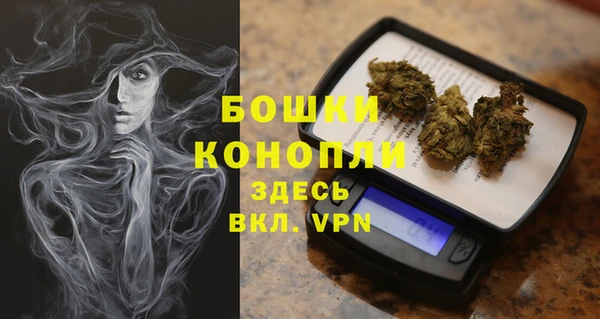 дурь Богородицк