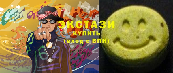 гидра Богородск