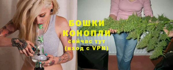 дурь Богородицк