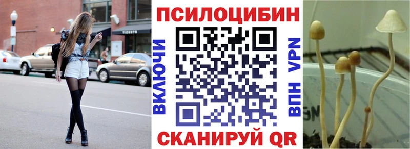 купить   Макаров  Галлюциногенные грибы Cubensis 